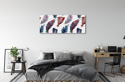 Foto op canvas Kleurrijke veren