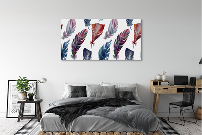 Foto op canvas Kleurrijke veren