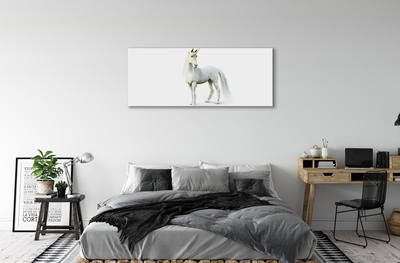 Foto op canvas Witte eenhoorn