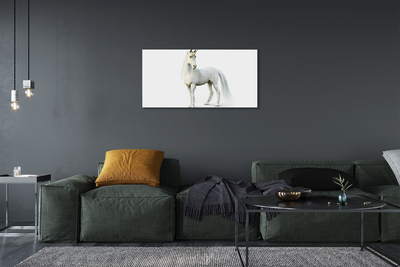 Foto op canvas Witte eenhoorn