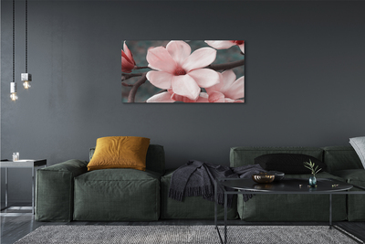 Schilderij canvas Roze bloemen
