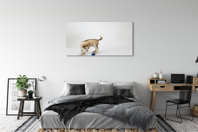 Schilderij op canvas Een hond spelen