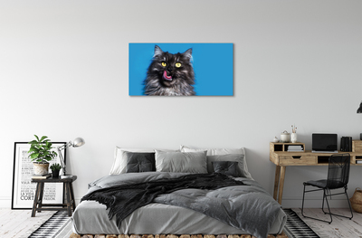 Foto op canvas Delige kat