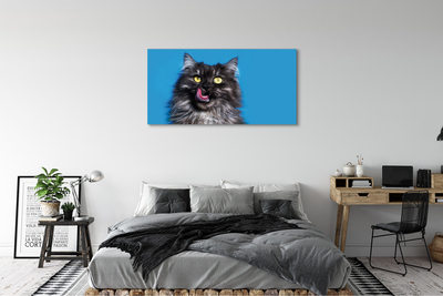 Foto op canvas Delige kat