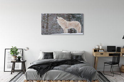 Foto op canvas Wolf forest winter