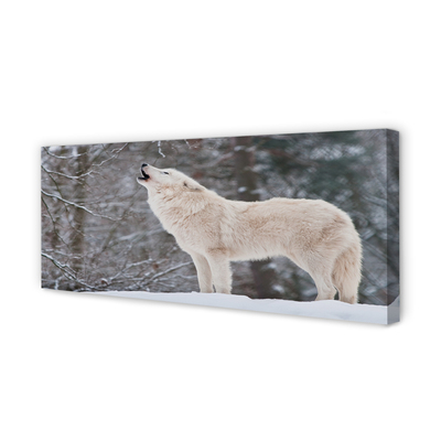 Foto op canvas Wolf forest winter