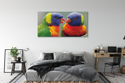 Foto op canvas Kleurrijke papegaaien