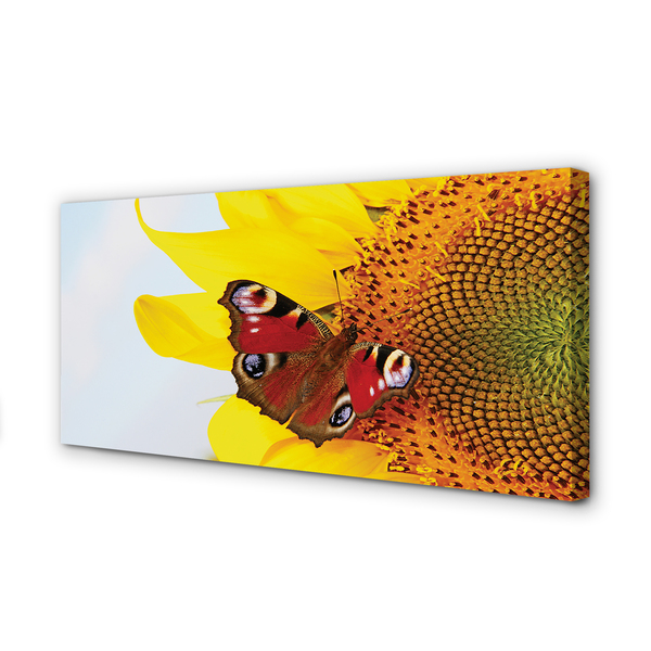 Foto op canvas Zonnebloemvlinder
