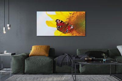 Foto op canvas Zonnebloemvlinder