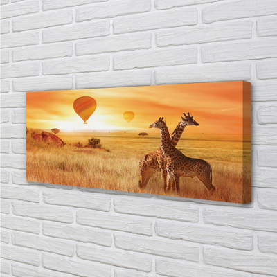 Schilderijen op canvas doek Ballonnen sky giraffen