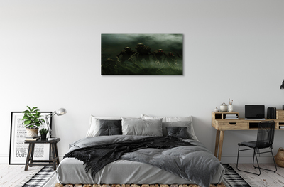 Schilderij canvas Zombie-wolken