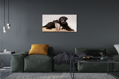 Schilderij op canvas Honden