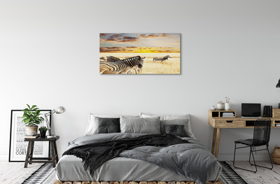 Schilderij op canvas Zebra veldzonsondergang