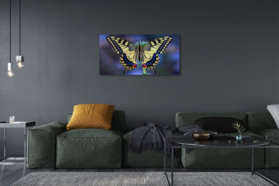 Foto op canvas Butterfly op een bloem