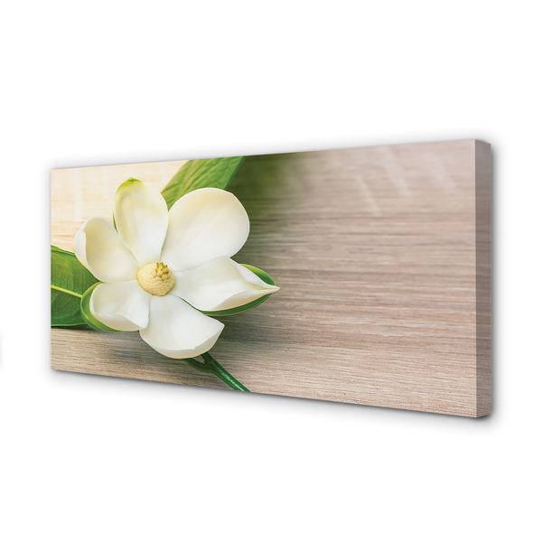Schilderij canvas Witte magnolia