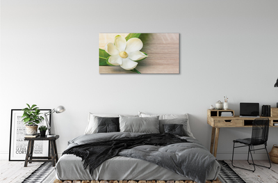 Schilderij canvas Witte magnolia