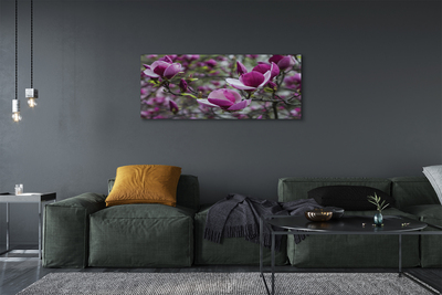 Schilderij canvas Paars magnolia
