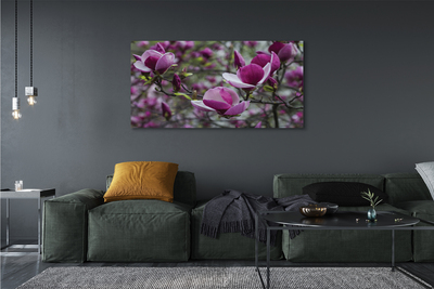 Schilderij canvas Paars magnolia