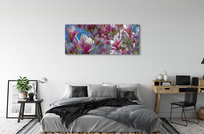 Schilderij canvas Magnolia bomen