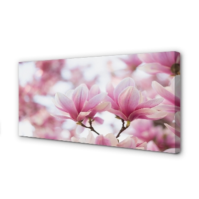 Schilderij canvas Magnolia bomen