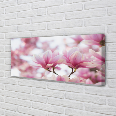 Schilderij canvas Magnolia bomen