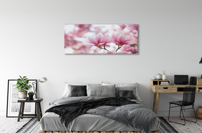 Schilderij canvas Magnolia bomen