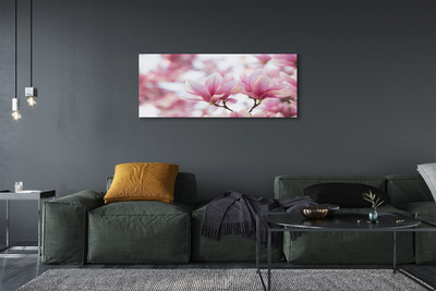 Schilderij canvas Magnolia bomen