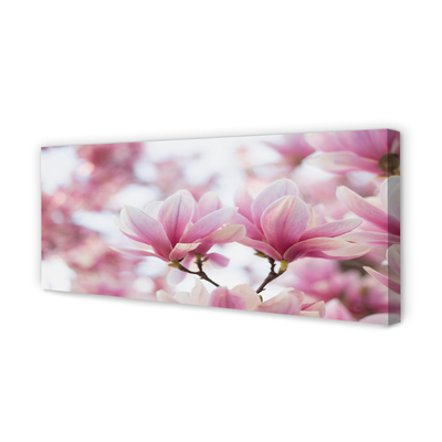 Schilderij canvas Magnolia bomen