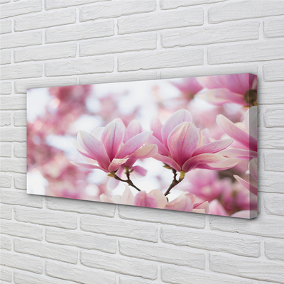 Schilderij canvas Magnolia bomen