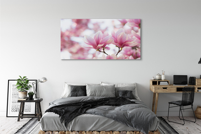 Schilderij canvas Magnolia bomen