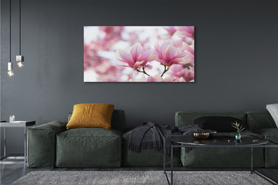 Schilderij canvas Magnolia bomen