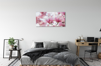 Schilderij canvas Magnolia bomen