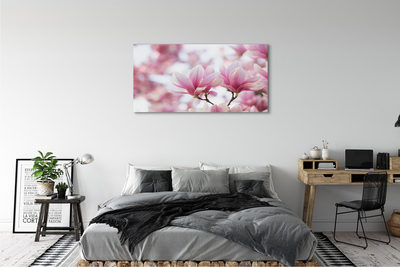 Schilderij canvas Magnolia bomen