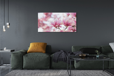 Schilderij canvas Magnolia bomen