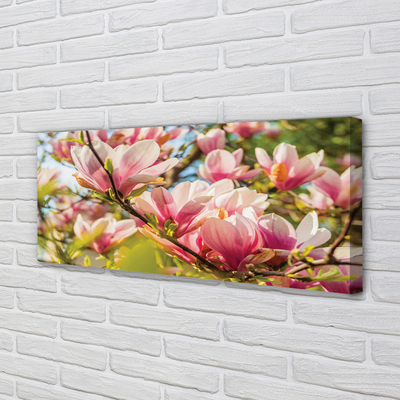 Schilderij canvas Roze magnolia