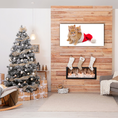 Foto op canvas Katten Kerstmis de Kerstman