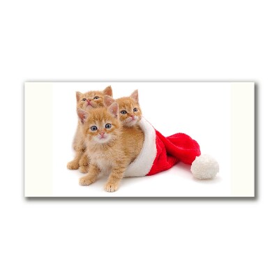 Foto op canvas Katten Kerstmis de Kerstman