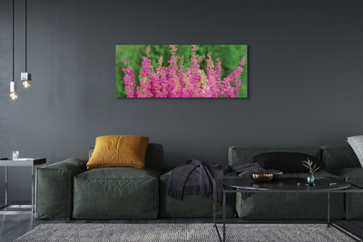 Schilderij canvas Wrzosy bloemen