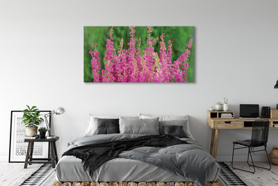 Schilderij canvas Wrzosy bloemen