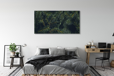 Schilderij op canvas Twijgen van een kerstboom