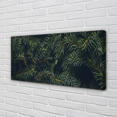 Schilderij op canvas Twijgen van een kerstboom