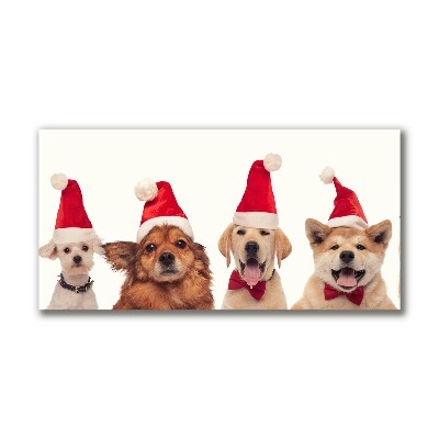 Foto op canvas Honden Kerstman