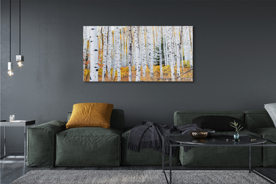 Schilderij canvas Herfst van berk