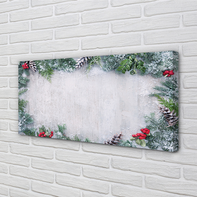 Schilderij op canvas Sneeuw kegels twijgen