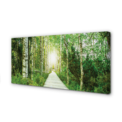 Schilderij canvas Road forest tree birch