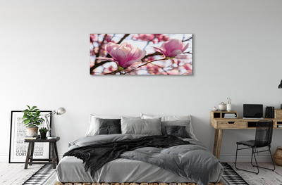 Schilderij canvas Magnolia bomen