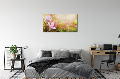 Schilderij canvas Magnolia boomzon