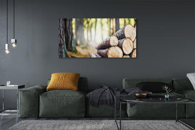 Canvas doek foto Wood nature forest