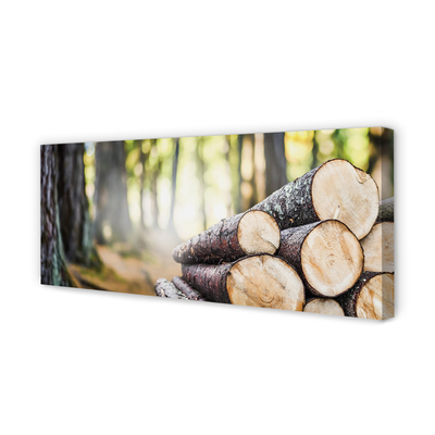 Canvas doek foto Wood nature forest