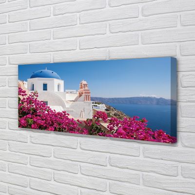 Foto op canvas Griekenland bloemen zee gebouwen